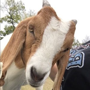 Meet your Posher, Kenna